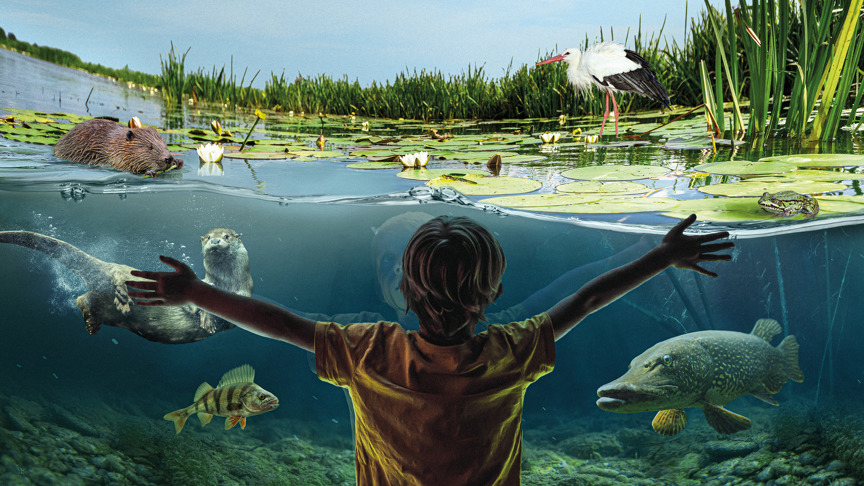 AQUA Akvarium & Dyrepark