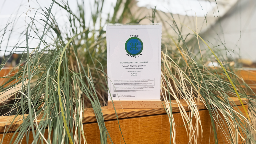 Naturkraft - Ringkøbing Fjord Museer