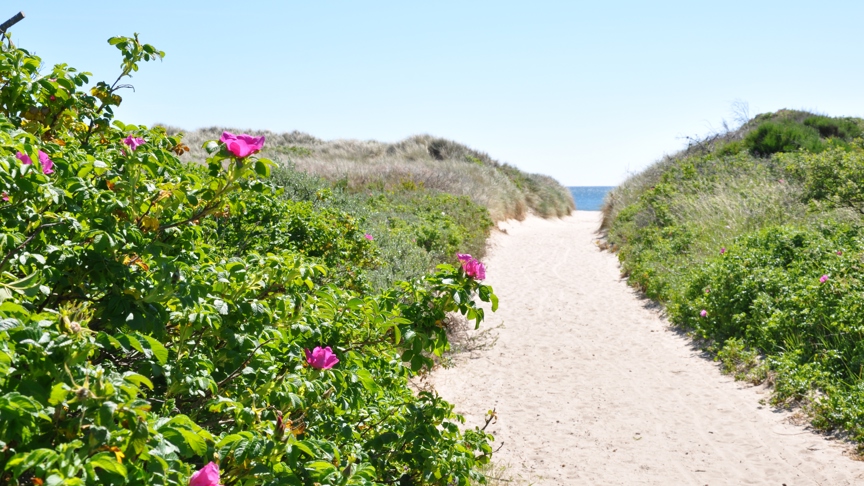 Skagen Strand Feriecenter